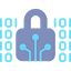 Data Encryption